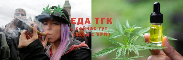 СК Россошь