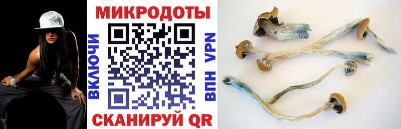 Галлюциногенные грибы ЛСД  Питкяранта 